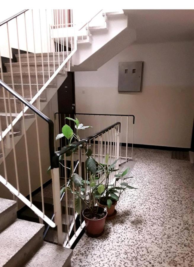 Apartment Vlatka Split Kültér fotó