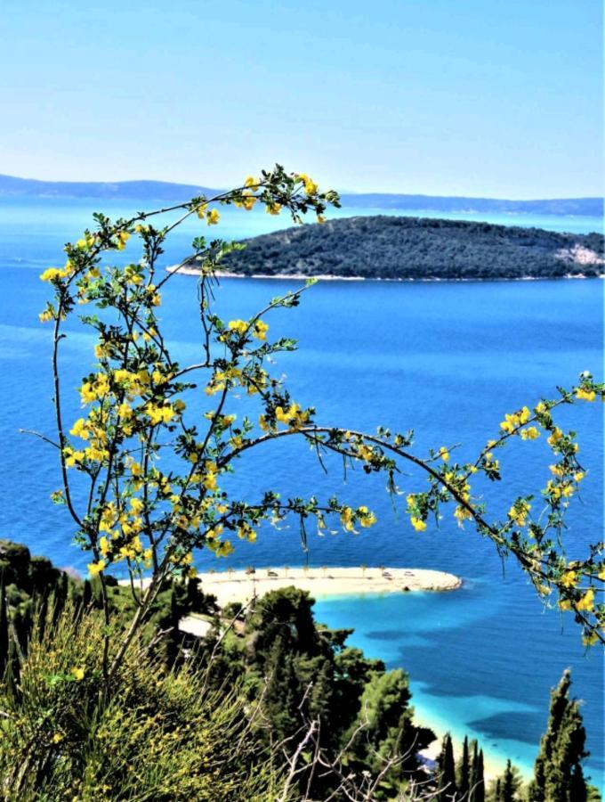 Apartment Vlatka Split Kültér fotó